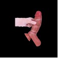 Authentic Lover Release Dildo