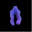 Blue Demon Hydra Dildo, Dual Pleasure