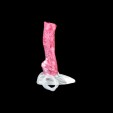 Cerberus Massive Release Dildo