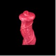 Colossal Equine Arc Pleasure Dildo