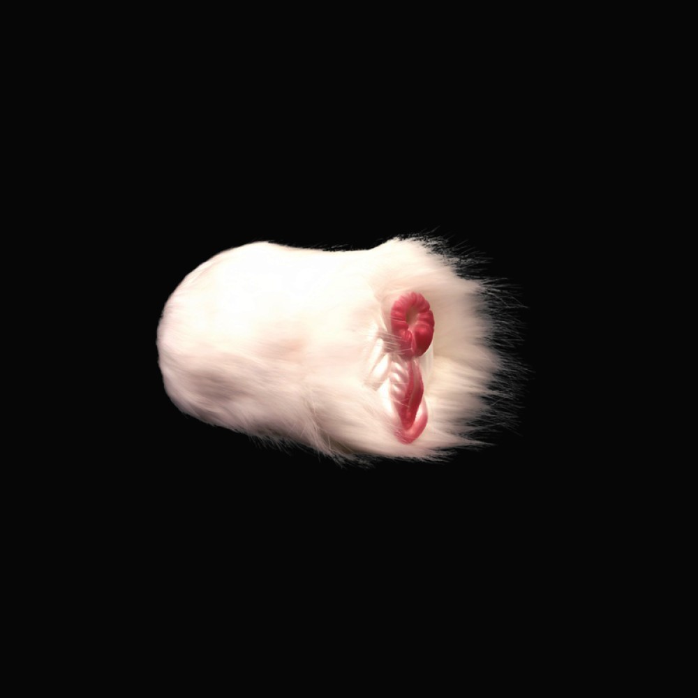 Crazy White Mare Fleshlight