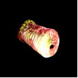 Crimson Knot Fleshlight