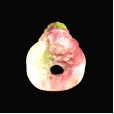 Crimson Knot Fleshlight