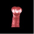 Desire Slave Flame Dildo Silicone