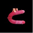 Dragon's Embrace Dual Dildo