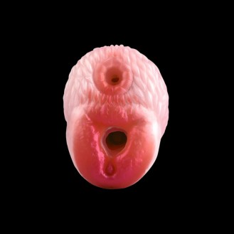 Dreamy Pup Touch Masturbator