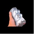 Elegant Beast Farm Fleshlight