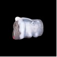 Elegant Beast Farm Fleshlight