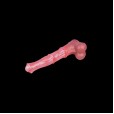 Equine Kentucky Horse Dildo