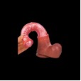 Equine Kentucky Horse Dildo