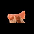 Ethereal Claw Stretch Plug