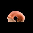 Ethereal Claw Stretch Plug