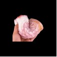 Exotic Charm Fantasy Masturbator