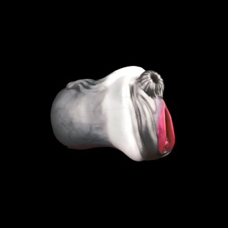 Gallop Charm Horse Masturbator