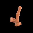 Galloping Desire Sensation Dildo