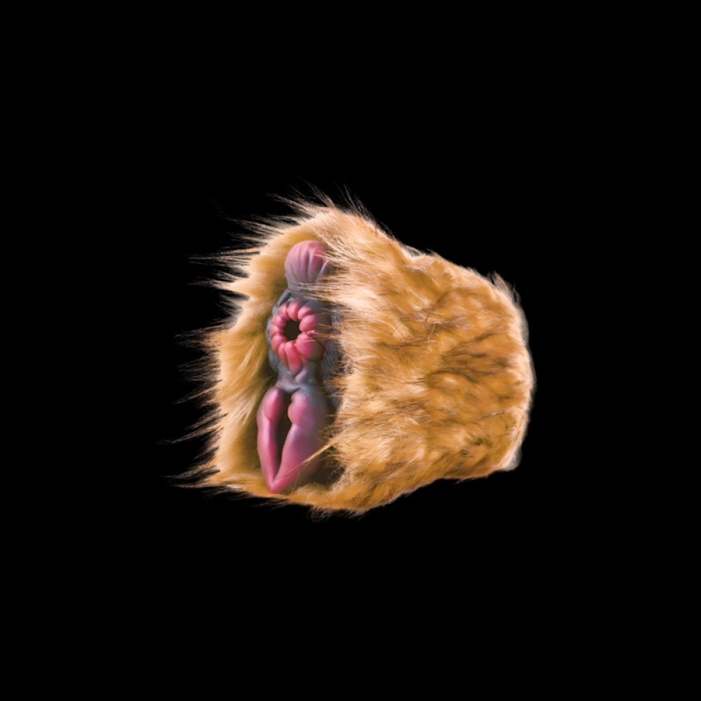 Galloping Instinct Fluff Masturbator