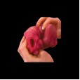 Lustful Vortex Fleshlight