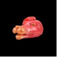 Lustrous Licking Dog Fleshlight