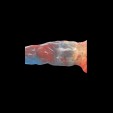 Obsession Flame Single-Head Plug