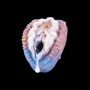 Oceanic Cove Fantasy Masturbator