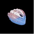 Oceanic Cove Fantasy Masturbator