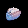 Oceanic Cove Fantasy Masturbator