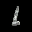 Pegasus Silicone Dildo