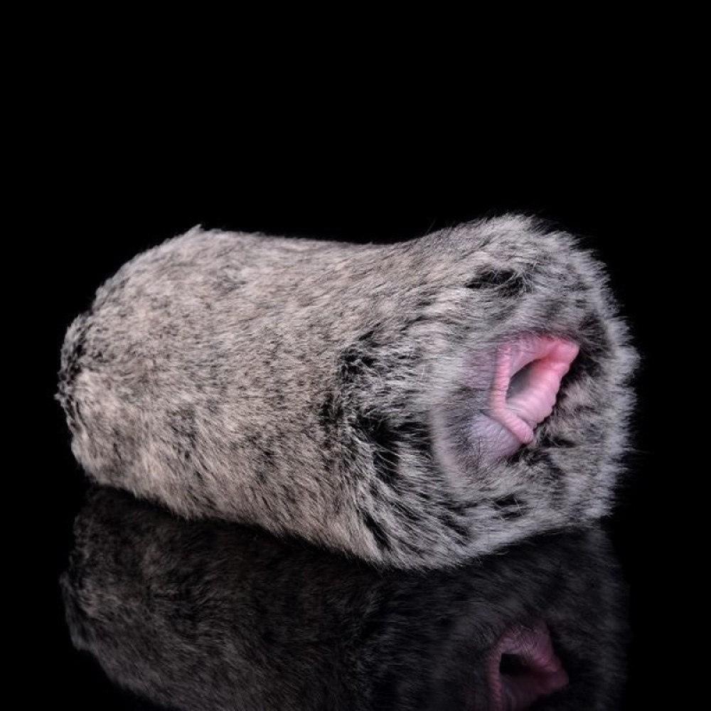 Shadow Pelt Husky Masturbator