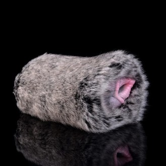Shadow Pelt Husky Masturbator