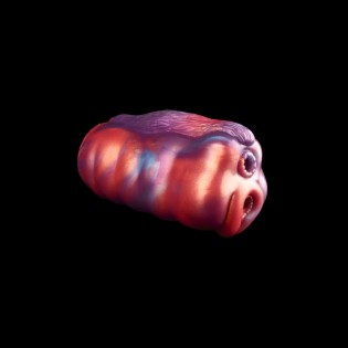 Stellar Scale Fleshlight