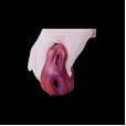 Stellar Scale Fleshlight