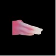Twisted Temptation Dual Dildo