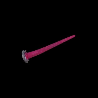 Tyronius Elongated Octopus Dildo