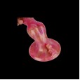 Wild Hound Knot Dildo